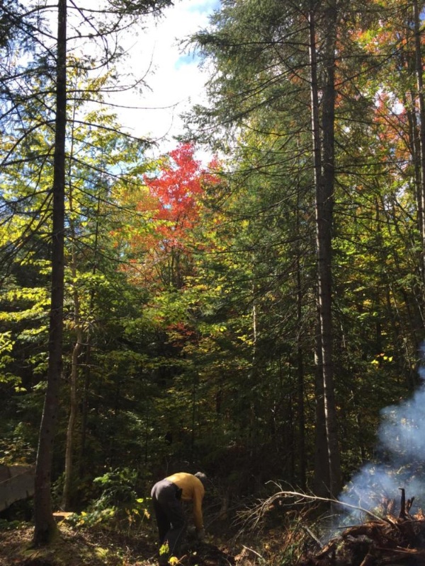 Gîte de la Montagne Enchantée image 22