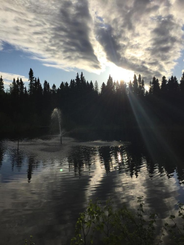 Gîte de la Montagne Enchantée image 24